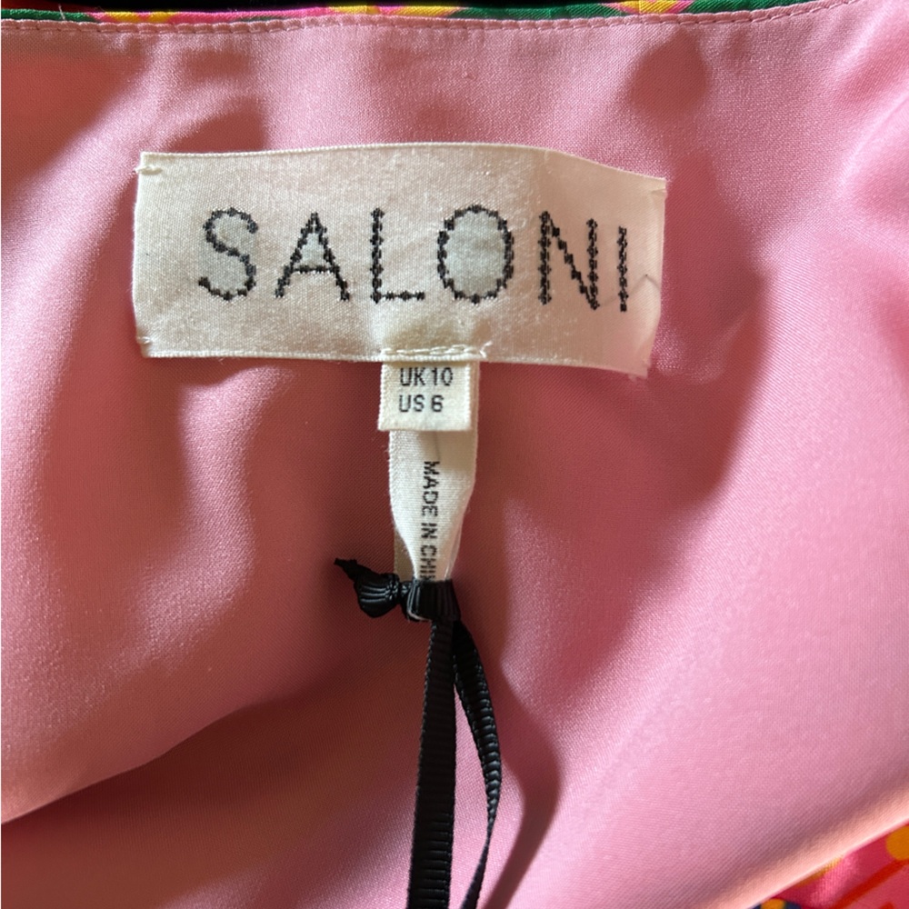 SALONI Karen Graphic Stripe-Printed Dress - Picture 12 of 14